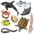 Set of different types of sea animals illustration tropical character wildlife marine aquatic fish vector Royalty Free Stock Photo