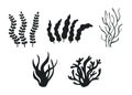 Set of different underwater sea plant, seaweed and algae black silhouette. Edible seaweed and leaves. Plants of aquarium