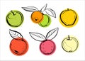 A set of different varieties of apples with and without leaves. Illustration, sketch in a linear style with colored Royalty Free Stock Photo