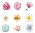 Set of different vector flowers