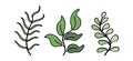 Set of different vector twigs with leaves. Simple plants with outline isolated. Symbol of eco, organic life and