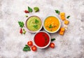 Set of different vegetable cream soups Royalty Free Stock Photo