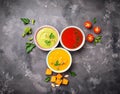 Set of different vegetable cream soups Royalty Free Stock Photo