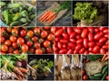 Set of different vegetables. Collection vegetables background