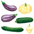 Set of different vegetables, hand drawn watercolor illustration. Eggplant, aubergine, squash Royalty Free Stock Photo