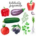 Set of different vegetables, hand drawn watercolor illustration. Salad ingredients. Cucumber, tomato, parsley, dill,pepper, olives