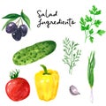 Set of different vegetables, hand drawn watercolor illustration. Salad ingredients. Cucumber, tomato, parsley, dill,pepper, olives