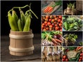 Set of different vegetables. Collection vegetables background