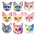 set of different watercolor multicolored cartoon faces of cats