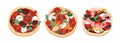 Set of different whole pizzas with pepperoni,salami, mushrooms,champignons,mozzarella and shrimps, cheeses, tomatores.Italian food