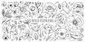 Set of different wild flowers. Tulip, narcissus, pansy, snowdrop, mimosa, poppy. Hand drawn outline vector sketch