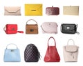 Set of different woman`s bags on background