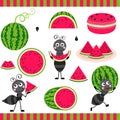 Set digital elements with watermelon and ants