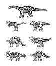 Set of dinosaur bones. Triceratops, Tyrannosaurus, Kentrosaurus, Brahiosaurus, Velociraptor, Stegosaurus