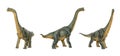 Set Dinosaur long necked sauropod diermibot breed name Brachiosaurus Royalty Free Stock Photo
