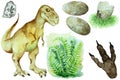 Set of dinosaur Tyrannosaurus rex, eggs, shell, fern