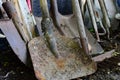 A set of dirty old garden tools in the ground after seasonal work, shovels, choppers and rakes.