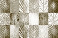 Set of distress golden tree leaves, leaflet texture. Black and white grunge background