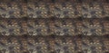 Set of distressed overlay texture of crocodile or snake skin leather, grunge backgrounds Royalty Free Stock Photo