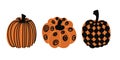 Set of diverse pumpkins. orange and buffalo plaid pumpkin. Happy Thanksgiving . Harvest season. Vector illustration