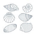 Set of diverse sea shell, aquatic life animals in flat cartoon style Royalty Free Stock Photo