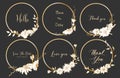 Set of dividers round frames, Hand drawn flowers, Botanical composition, Decorative element for wedding card. Royalty Free Stock Photo