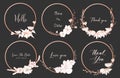 Set of dividers round frames, Hand drawn flowers, Botanical composition, Decorative element for wedding card. Royalty Free Stock Photo