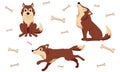 Set of cartoon brown dogs. Wild wolves. Red foxes. Stickers, prints with dogs. Background with bones