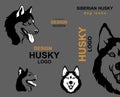 Set of Dog breed icons - vector illustration. Siberian husky dog icons. Design modern. Advertising. Design husky logo. Husky logo