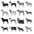 Set of dog breeds