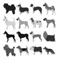 Set of dog breeds