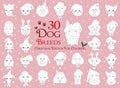 Set of 30 dog breeds for coloring with Christmas and winter themes Royalty Free Stock Photo