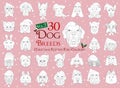 Set of 30 dog breeds for coloring with Christmas and winter themes Set 2