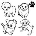 Set of Dog cartoon and dog paw print coloring book on white background vector Royalty Free Stock Photo