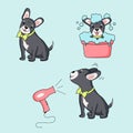 Set Dog character illustrations