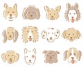 Set of dog face illustration. hand drawn various cute dogs.