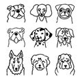 Set of dog faces. Canine breeds in doodle style. Ink hand drawn heads of funny puppies. Pets contour simple kids style