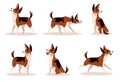 Set of dog poses. Happy and angry pet sitting, standing and running. Domestic animal different emotions. Purebred