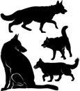 Set of dog silhouettes German Shepherd Dogs Royalty Free Stock Photo