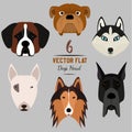 Set of 6 dog's head. Flat design. Pets. Cute doggies