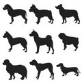 Set of dogs black silhouette Royalty Free Stock Photo