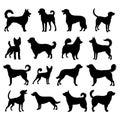 Set of dogs, black silhouettes of dogs breeds isolated on white background. Pets vector illustration Royalty Free Stock Photo