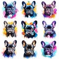 Set of dogs breed French Bulldog painted in watercolor on a white background in a realistic manner. Ideal for teaching