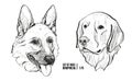 Set of dogs. Breeds German Shepherd and Labrador. Graphical vector illustration Royalty Free Stock Photo