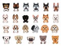 A set of dogs of different breeds, puppies of different colors, types of ears