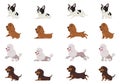 Set of dogs in different poses. Royalty Free Stock Photo