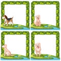 Set of dogs frame scenes