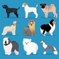 Set of dogs Royalty Free Stock Photo