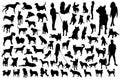 Set of dogs silhouette. Black Vector group. Royalty Free Stock Photo