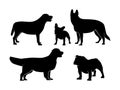 Set of Dogs Silhouette Isolated on a white background - Vector Illustration Royalty Free Stock Photo